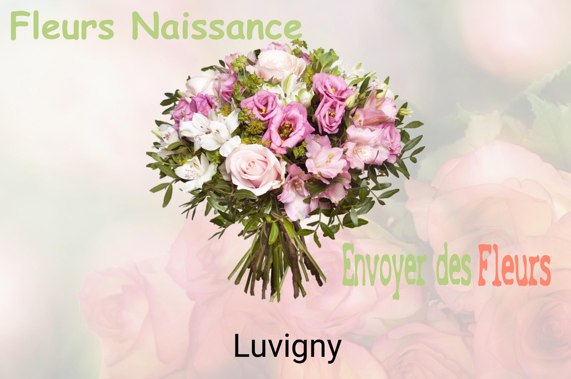 Bouquet de fleurs de naissance livré à Luvigny